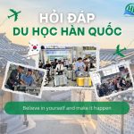 Hỏi đáp Du học Hàn Quốc: Những câu hỏi thường gặp