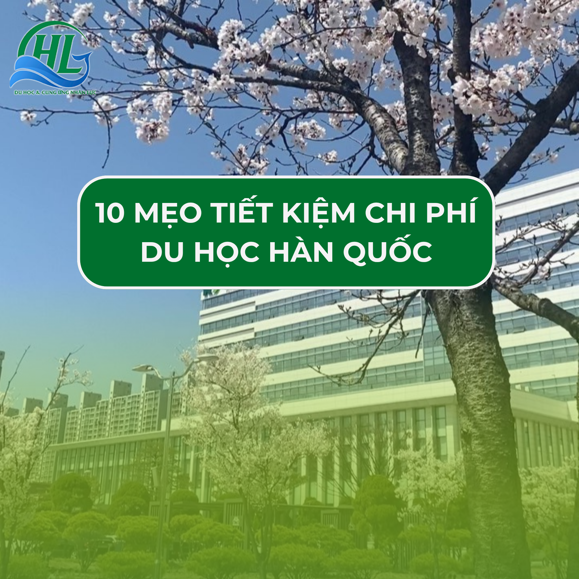 Tiết kiệm chi phí khi du học Hàn Quốc